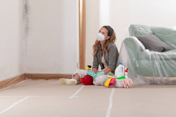 Reliable Mold Inspection contractor in Bunn, NC by WQB Mold Removal